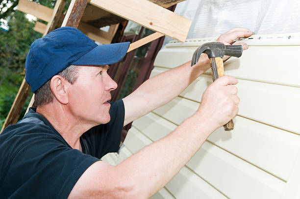 Best Brick Veneer Siding  in Mesita, NM